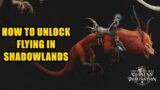 How To Unlock Flying in Shadowlands Pathfinder – Complete Guide