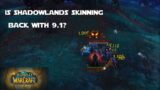 Is Shadowlands Skinning Back? –  World of Warcraft Shadowlands Gold Making Guides