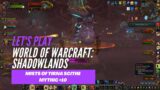 Let's Play World of Warcraft: Shadowlands (Mists of Tirna Scithe – Mythic +10)