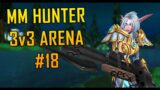 Marksmanship Hunter 3v3 Arena #18 [Shadowlands 9.1]