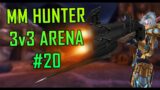 Marksmanship Hunter 3v3 Arena #20 [Shadowlands 9.1]