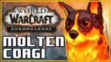 Molten Corgi Pet Battle PvP! World of Warcraft Shadowlands Competitive WoW Battle Pet Guide!