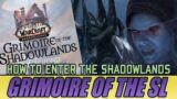 SPOILERS! How Do Mortal Souls ENTER the Shadowlands?