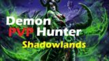Shadowlands Demon Hunter PvP – FLUID spec