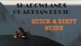 Shadowlands Guardian Druid Tanking Guide