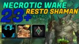 Shadowlands(9.1) Mythic + 23 The Necrotic Wake | Restoration Shaman(Necro)(Ele Leggo)