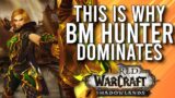 This Is STRONG! This Is Why People Hate BM Hunters In PvP In Shadowlands –  PvP WoW: Shadowlands 9.1
