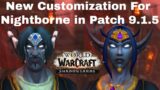 WoW ShadowLands:New Nightborne Customization for Male and Female in Patch 9.1.5 PTR