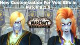 WoW ShadowLands:New Void elfs Customization for Male and Female in Patch 9.1.5 PTR