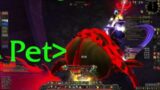 WoW Shadowlands 9.1.0 protection warrior pvp Warsong Gulch 2