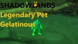 World Of Warcraft Shadowlands, Legendary Gelatinous  Pet Battle Guide, New Achievement Pet Reward