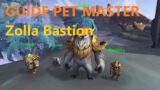 World Of Warcraft Shadowlands, Pet Master Zolla Guide, Bastion