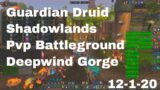 World of Warcraft Shadowlands Guardian Druid Pvp Battleground, Deepwind Gorge, 12-1-20