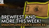 Your Weekly Shadowlands Guide #43