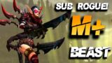 CRUSH M+ KEYS AS SUB!! – Shadowlands subtlety rogue guide Patch 9.1.0 / 9.1.5