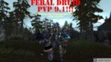 FERAL DRUID IS INSANE-WoW PvP Shadowlands 9.1