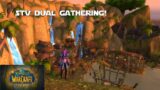 Make Gold with Dual Gathering in STV! – WoW Shadowlands  Gold Making Guides
