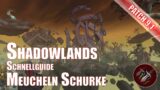 Shadowlands Meucheln Schurke Schnellguide World of Warcraft Patch 9.1
