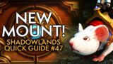 Your Shadowlands Weekly Guide #47