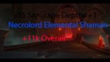 +15 Sanguine Depths Necrolord Elemental Shaman 9.1 World Of Warcraft Shadowlands