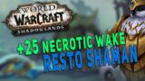 +25 Necrotic Wake (Fortified) | Kyrian Resto Shaman M+ Gameplay | 9.1.5 Shadowlands – Season 2