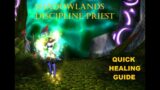 A Healing Guide for Discipline Priests in Shadowlands!