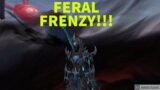 FERAL DESTUCTION PvP- WoW Shadowlands 9.1