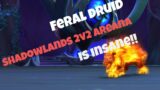 Feral Druid & Affliction Warlock 2v2 Arena – Shadowlands PvP 9.1.5