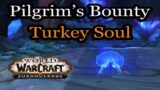 How to Get the Turkey Soul ~ World of Warcraft Shadowlands