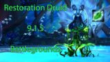 Shadowlands 9.1.5 – Observing Battle – Restoration Druid – DarkslayerTV