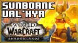 Sunborne Val'kyr Pet Battle PvP! World of Warcraft Shadowlands Competitive WoW Battle Pet Guide!