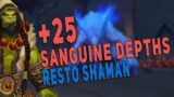 +25 Sanguine Depths (Tyrannical) | Kyrian Resto Shaman M+ Gameplay | 9.1.5 Shadowlands – WoW