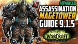 Assassination Rogue Advanced Mage Tower Guide 9.1.5 – Shadowlands Guide – World of Warcraft