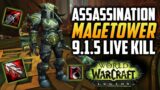 Assassination Rogue Mage Tower Kill 9.1.5 – Shadowlands Guide- World of Warcraft