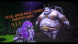 Feral Druid Mage Tower Guide/Kill Shadowlands 9.1.5