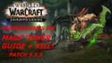 HAVOC DEMONHUNTER – MAGE TOWER [Kill + Guide] Patch 9.1.5 – WOW SHADOWLANDS