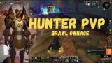 MM Hunter PvP | World of Warcraft Shadowlands Marksmanship
