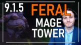 NEW FERAL MAGE TOWER GUIDE – WOW SHADOWLANDS PATCH 9.1.5
