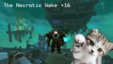 Necrotic Wake +16 Resto shaman 9.1.5 -World of Warcraft: Shadowlands-