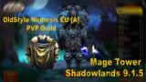 Rog Sub Mage Tower – World of Warcraft – Shadowlands 9.1.5