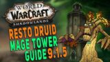 Shadowlands 9.1.5 RESTO DRUID Mage Tower Guide | Talents, Gear & More – Legion Timewalking | WoW