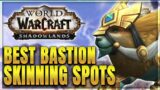 WoW: Best Shadowlands Skinning Spots – Bastion Skinning Guide