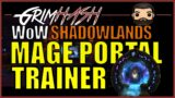 WoW Mage Portal Trainer Location // Orbios [Horde and Alliance] // WoW Shadowlands