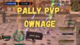 Paladin PvP OWNAGE | World of Warcraft Shadowlands BG
