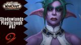 The Night Warriors | World of Warcraft: Shadowlands Playthrough #67