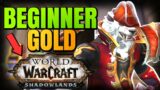 WOW Beginners Gold Making Guide Shadowlands 2022