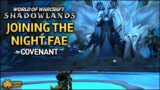 WoW: Shadowlands – Joining the Night Fae