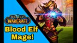 World of Warcraft Shadowlands Mage levelling in BFA
