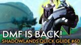 Your Weekly Shadowlands Guide #60