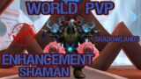 Enhancement Shaman – World PVP – Shadowlands